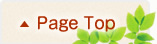 Page Top